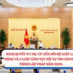 Nghi-quyet-47NQ-CP-Sua-doi-Bo-luat-Lao-dong-va-3-Luat-linh-vuc-noi-vu-vao-Chuong-trinh-lap-phap-nam-2026